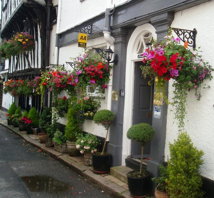 Cherubs Nest Dartmouth Exterior photo